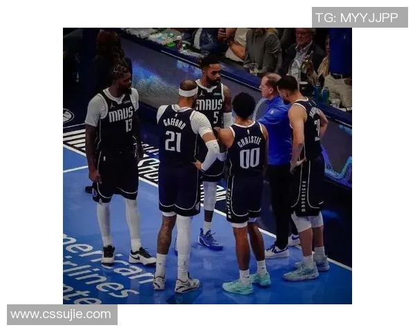 季后赛快船与独行侠第五场精彩回放全景分析与赛后点评