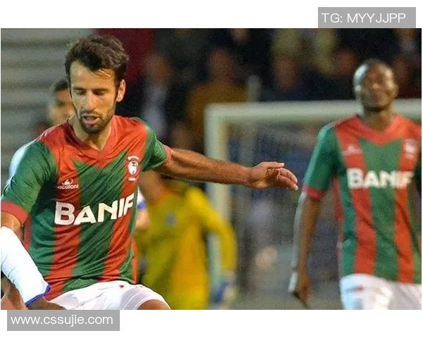 费伦斯主场迎战马里迪莫期待精彩对决分析与预测